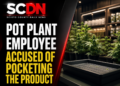 Pot employee pockets product