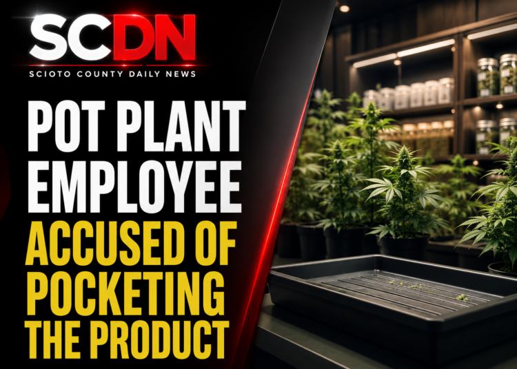 Pot employee pockets product