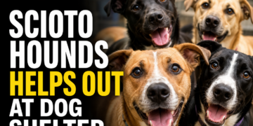 Scioto Hounds Helps Out