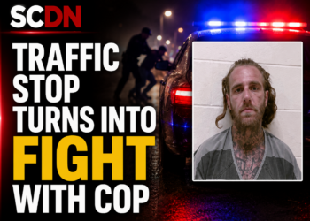 traffic stop turns into fight with cop