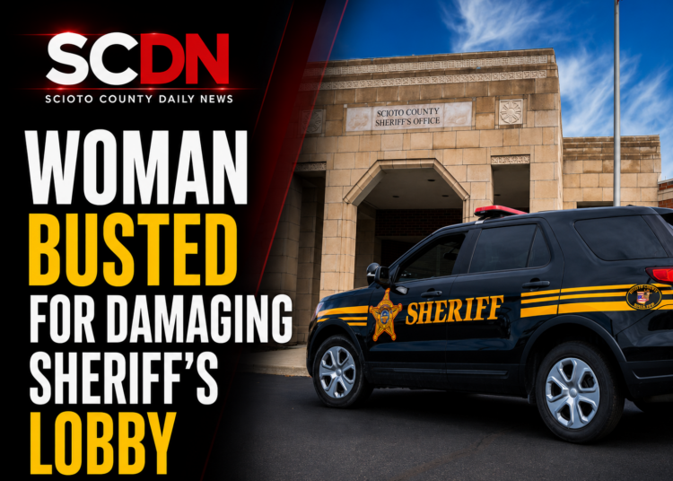 woman busted for damaging sheriff's lobby