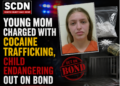 Young mom indicted