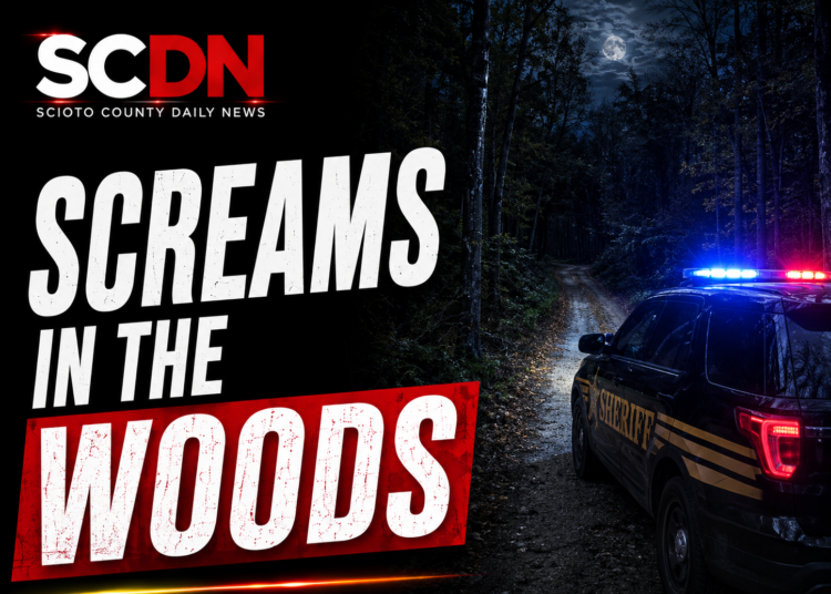 screams in the woods