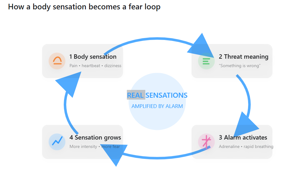 fear loop anxiety