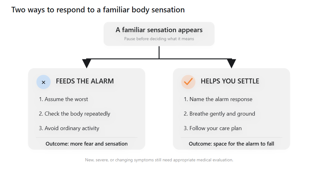 fear loop anxiety
