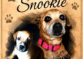 Snookie