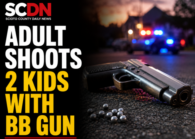 adult shoots 2 kids with BB gun