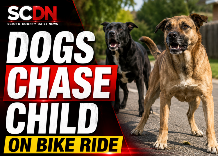 dogs chase child
