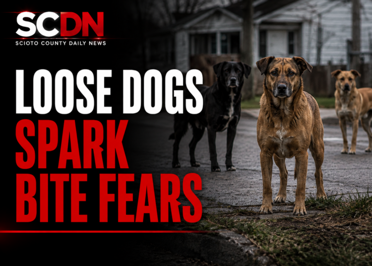 Loose dog sparks fear