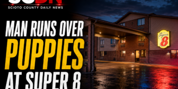Man runs over puppies