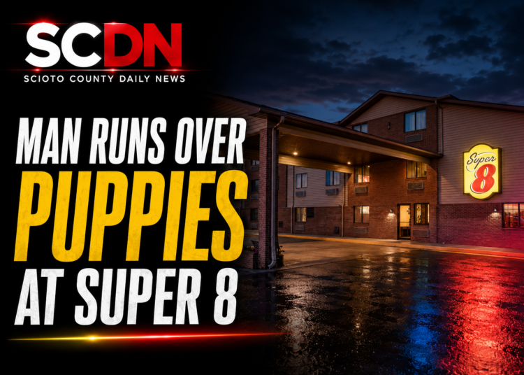 Man runs over puppies