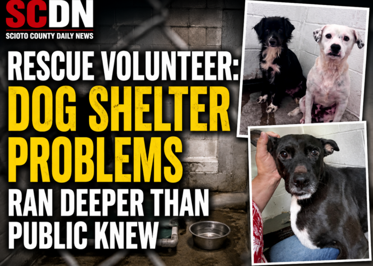 Dog Shelter problems