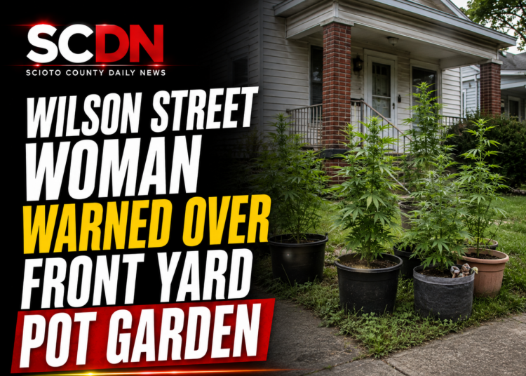 Pot garden