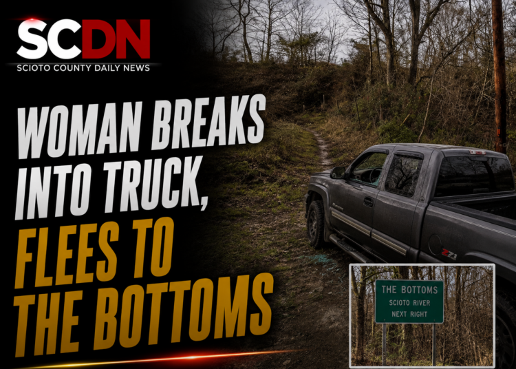 woman breaks into truck