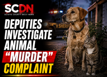 animal murder complaint