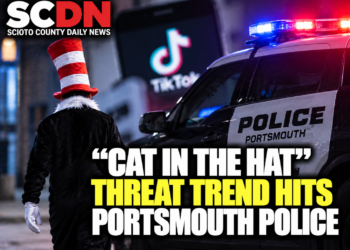 cat in the hat trend hits portmsouth