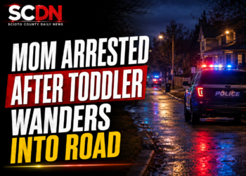 tollder found in road