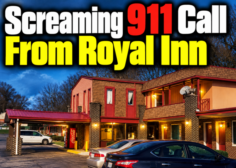 screaming call from the Royal Inn