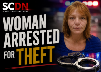 woman arrested for theft