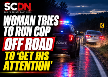 Woman tries to run cop off the road
