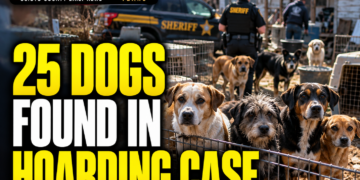 Dog hoarding case