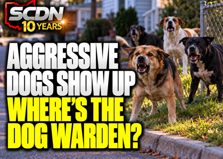 Aggressive dogs in Clay Township