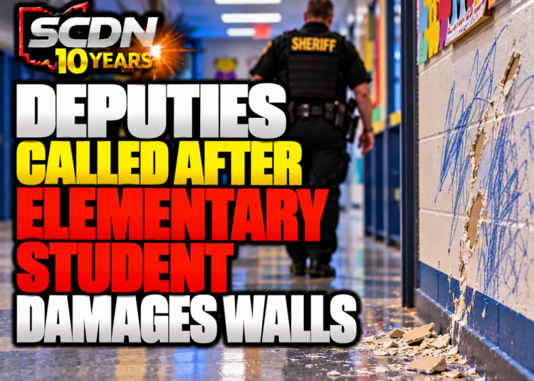 Deputies called for school fight