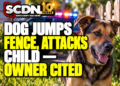 Dog jumps fence