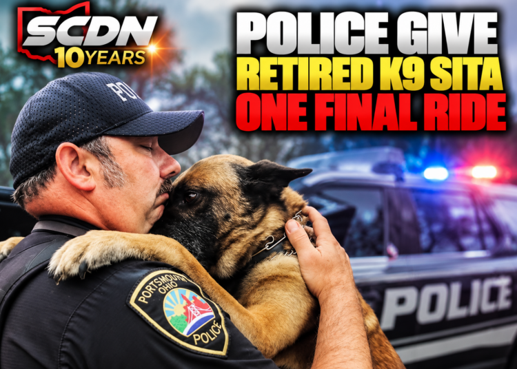 Last Call for K9 Sita