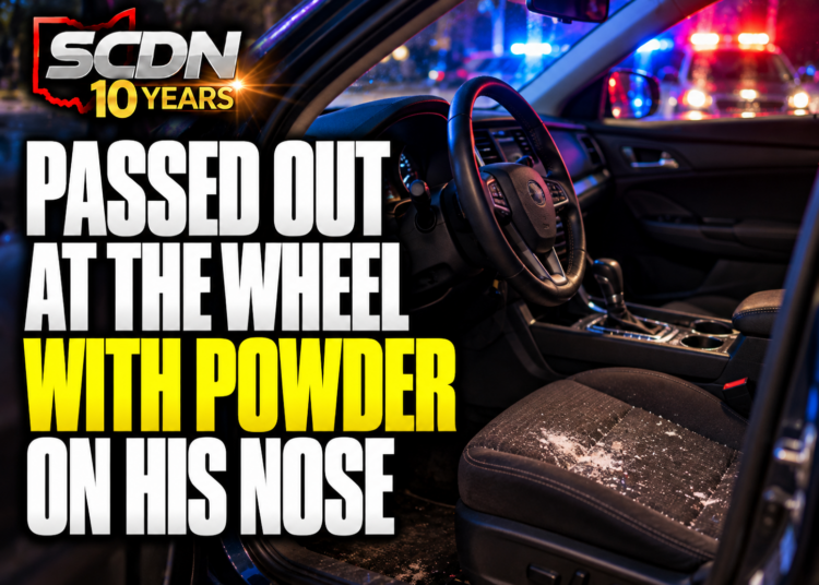 Passed out at the wheel